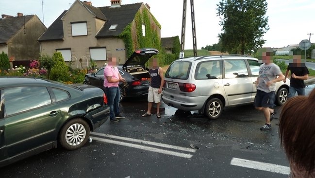 Feralne skrzyżowanie - zdjęcia
