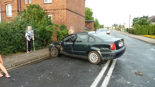 Feralne skrzyżowanie - zdjęcia