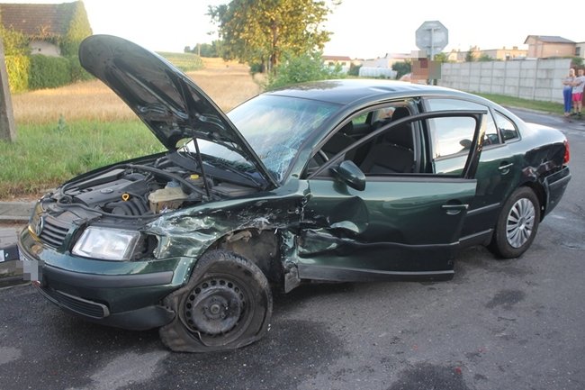 Feralne skrzyżowanie - zdjęcia