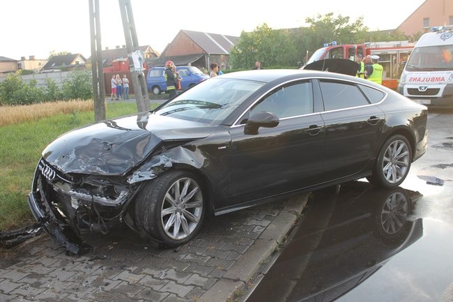 Feralne skrzyżowanie - zdjęcia