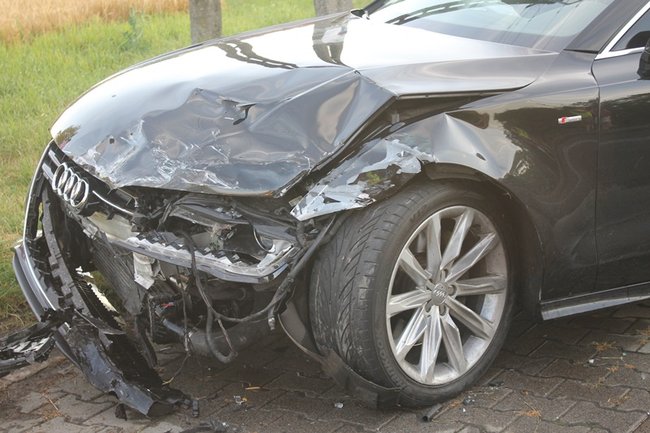 Feralne skrzyżowanie - zdjęcia