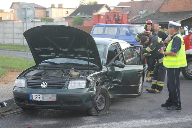 Feralne skrzyżowanie - zdjęcia