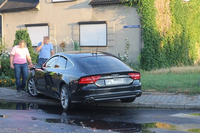 Feralne skrzyżowanie - zdjęcia