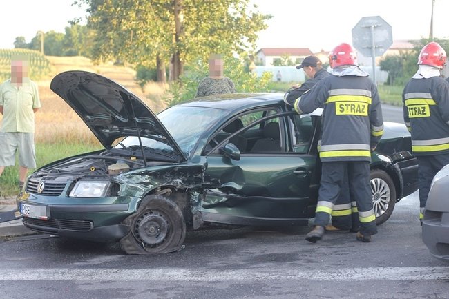 Feralne skrzyżowanie - zdjęcia