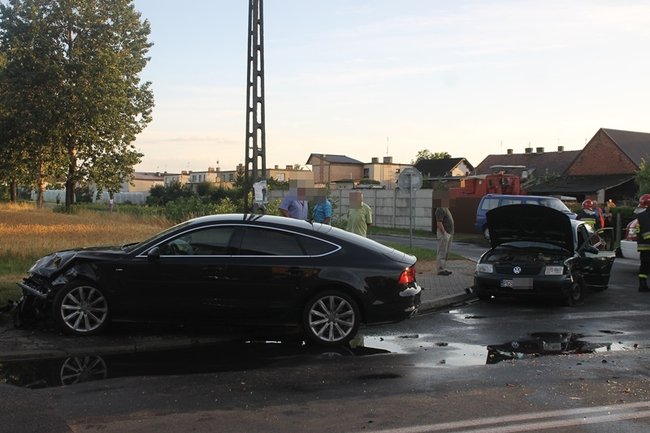 Feralne skrzyżowanie - zdjęcia