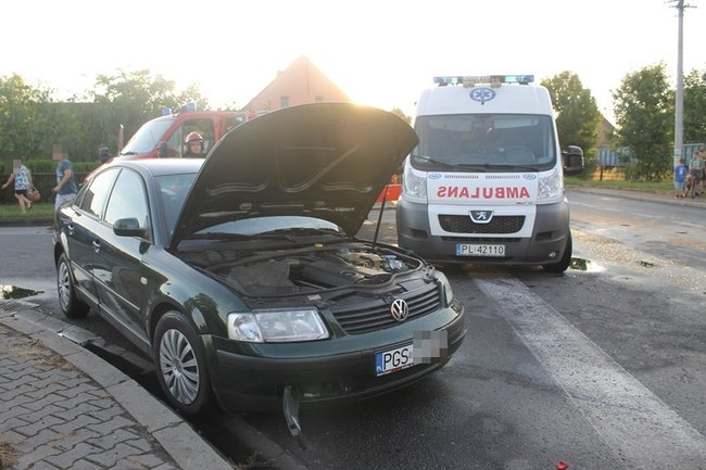 Feralne skrzyżowanie - zdjęcia