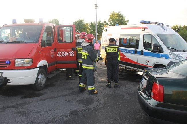Feralne skrzyżowanie - zdjęcia