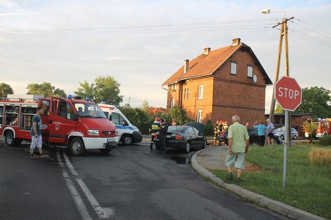 Feralne skrzyżowanie - zdjęcia