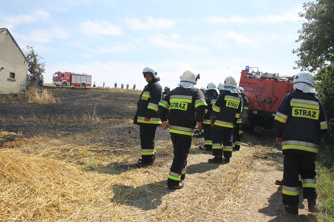 Płomienie sięgały trzech metrów - zdjęcia
