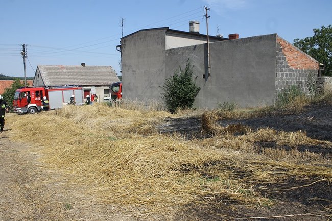 Płomienie sięgały trzech metrów - zdjęcia