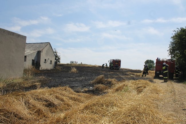 Płomienie sięgały trzech metrów - zdjęcia