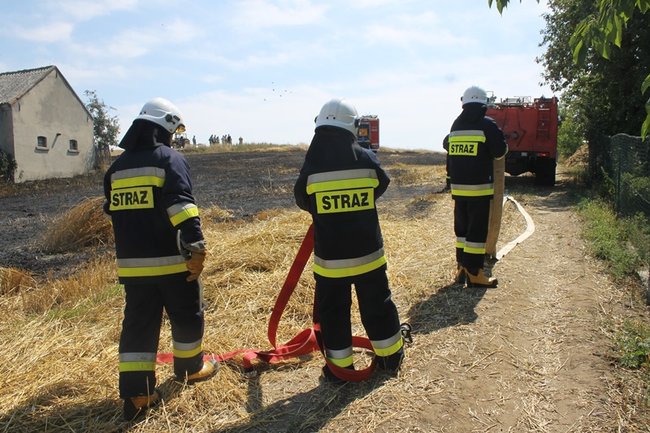Płomienie sięgały trzech metrów - zdjęcia