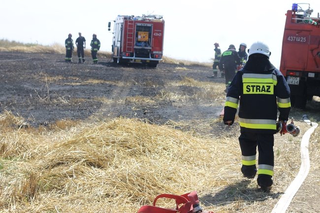 Płomienie sięgały trzech metrów - zdjęcia