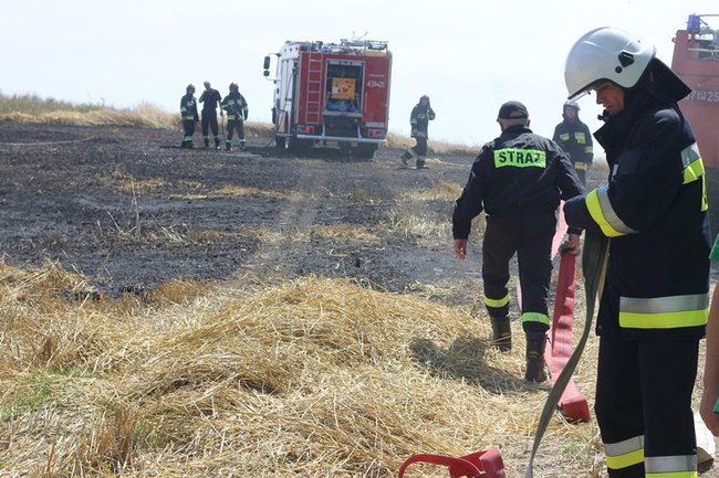 Płomienie sięgały trzech metrów - zdjęcia