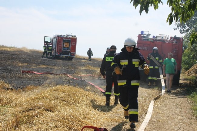 Płomienie sięgały trzech metrów - zdjęcia