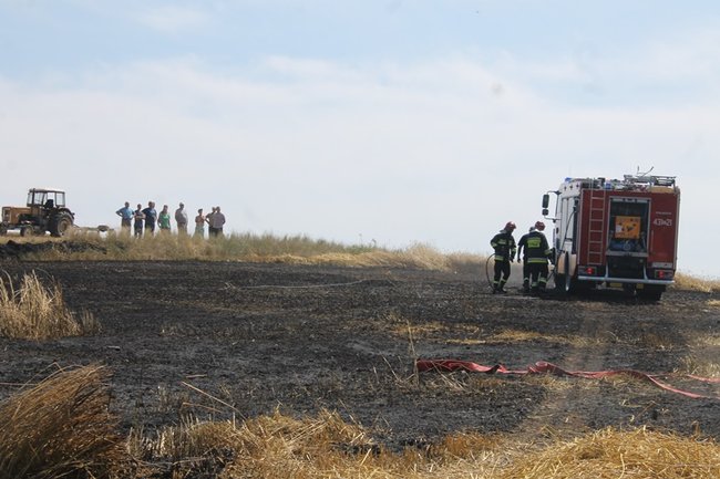 Płomienie sięgały trzech metrów - zdjęcia