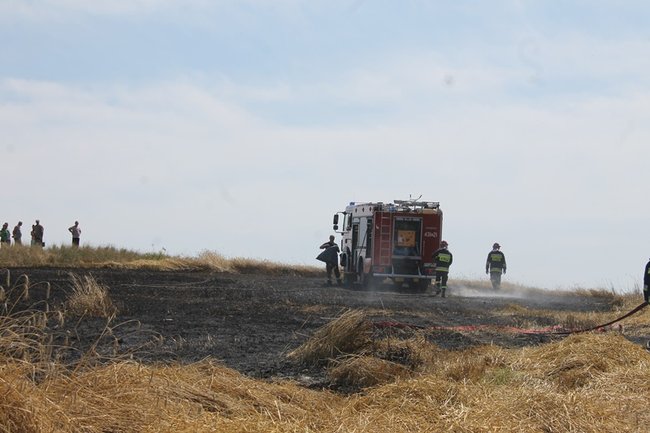 Płomienie sięgały trzech metrów - zdjęcia