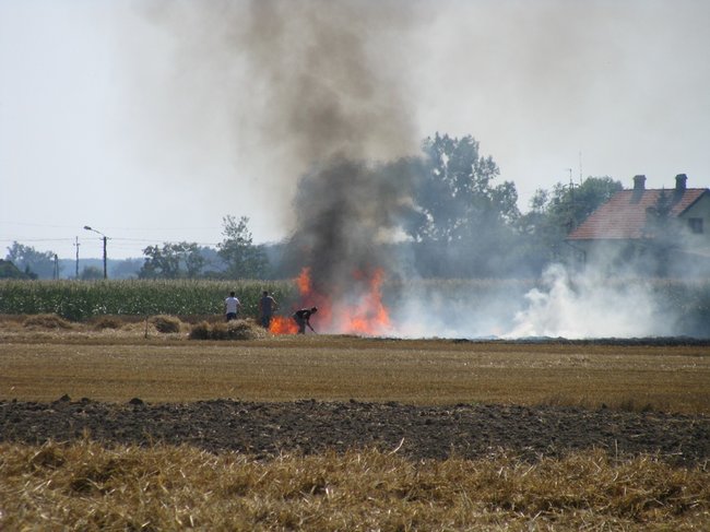 Kombajnista zauważył dym - zdjęcia