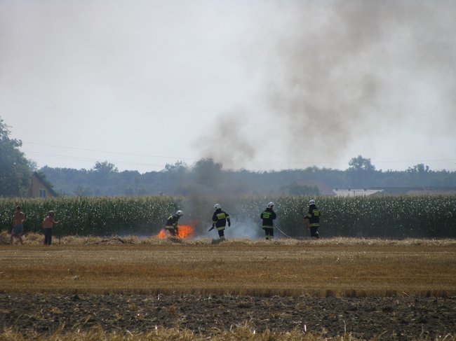 Kombajnista zauważył dym - zdjęcia