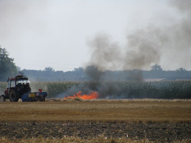 Kombajnista zauważył dym - zdjęcia