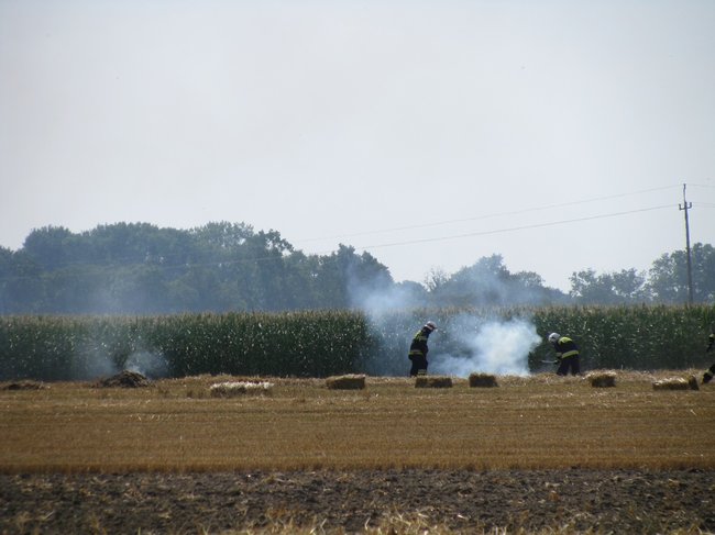 Kombajnista zauważył dym - zdjęcia
