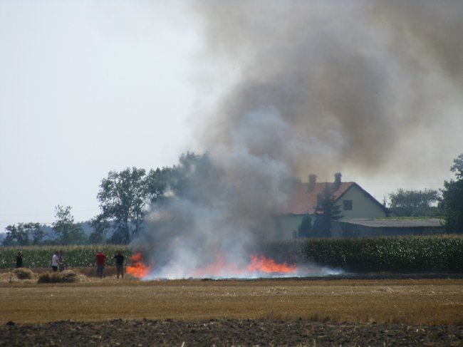 Kombajnista zauważył dym - zdjęcia
