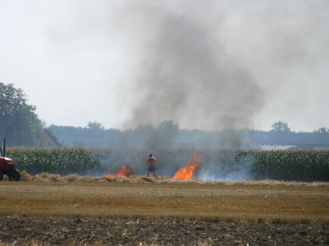 Kombajnista zauważył dym - zdjęcia