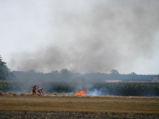 Kombajnista zauważył dym - zdjęcia