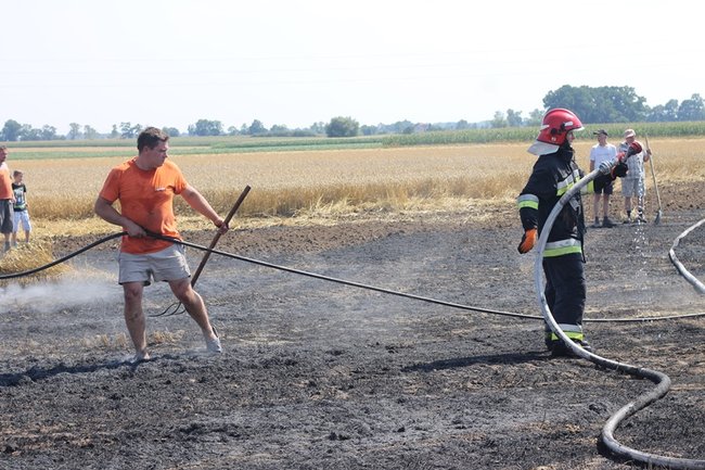Płonął kombajn i zboże na pniu - zdjęcia