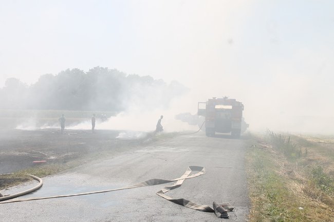 Płonął kombajn i zboże na pniu - zdjęcia