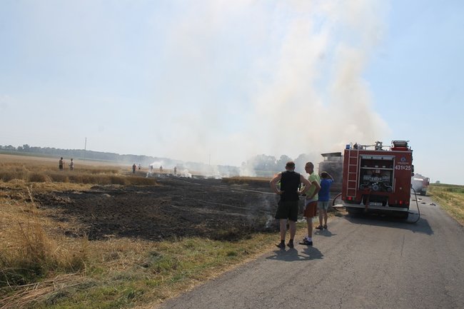 Płonął kombajn i zboże na pniu - zdjęcia