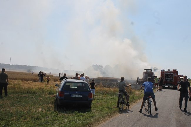 Płonął kombajn i zboże na pniu - zdjęcia