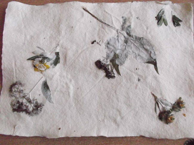 Zgłębiali tajniki papieru - zdjęcia