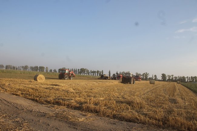 Spłonęła prasa - ciagnik uratowany - zdjęcia