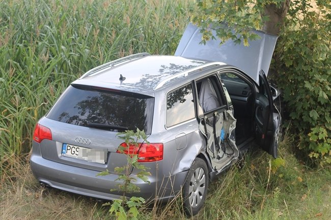 Mieli sporo szczęścia - zdjęcia