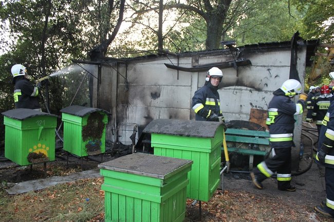 Straty mogły być dużo większe - zdjęcia