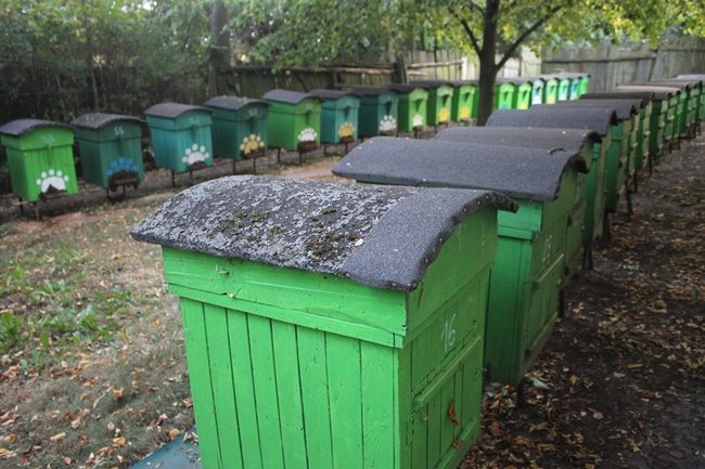 Straty mogły być dużo większe - zdjęcia