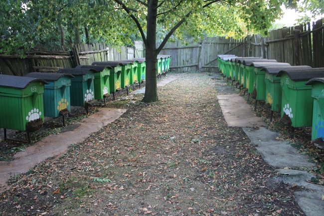 Straty mogły być dużo większe - zdjęcia