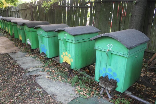 Straty mogły być dużo większe - zdjęcia