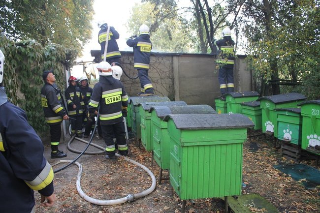 Straty mogły być dużo większe - zdjęcia