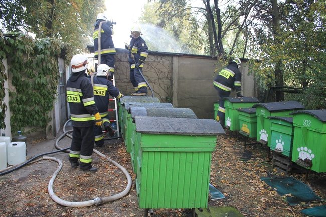 Straty mogły być dużo większe - zdjęcia