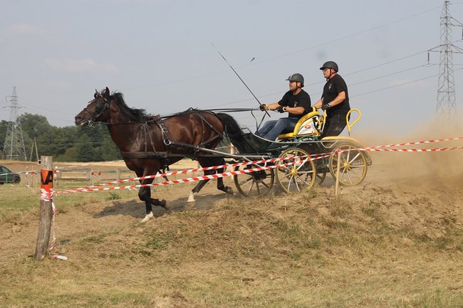 Wielka reaktywacja w Podrzeczu - zdjęcia