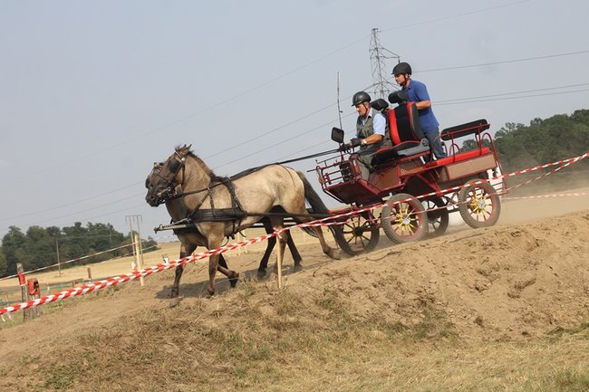 Wielka reaktywacja w Podrzeczu - zdjęcia