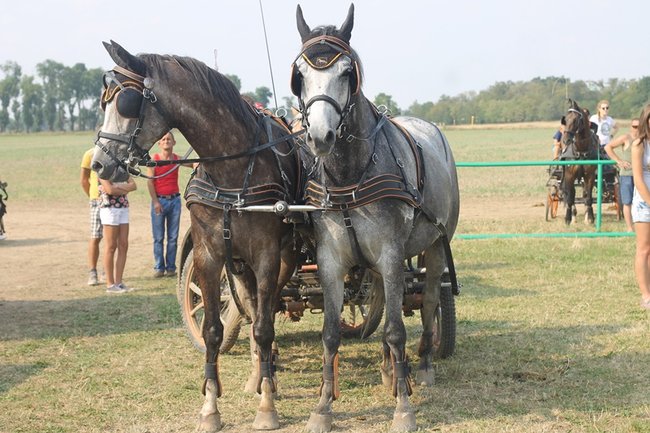 Wielka reaktywacja w Podrzeczu - zdjęcia