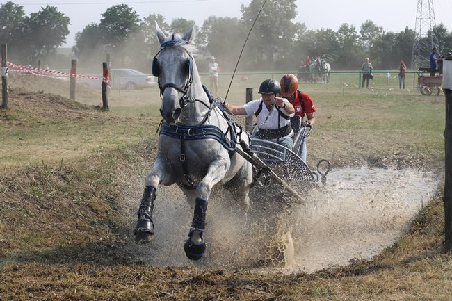 Wielka reaktywacja w Podrzeczu - zdjęcia