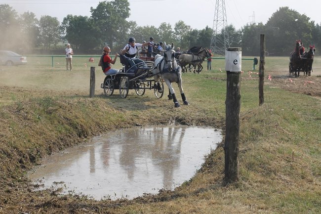 Wielka reaktywacja w Podrzeczu - zdjęcia