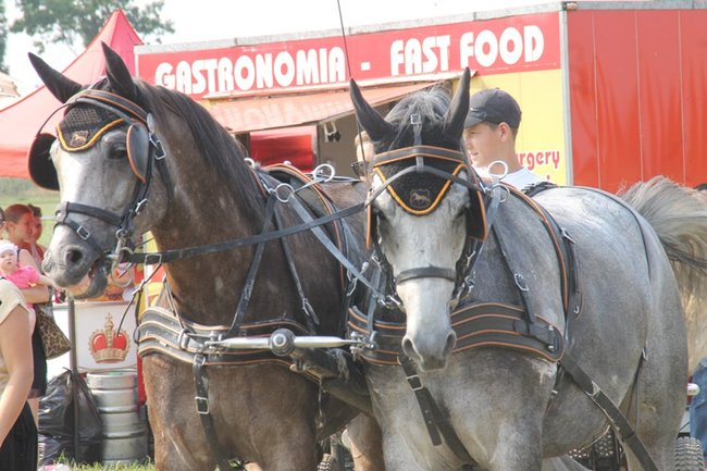 Wielka reaktywacja w Podrzeczu - zdjęcia