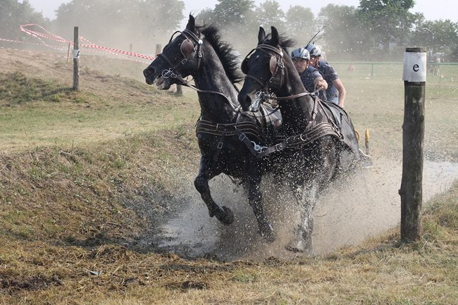 Wielka reaktywacja w Podrzeczu - zdjęcia