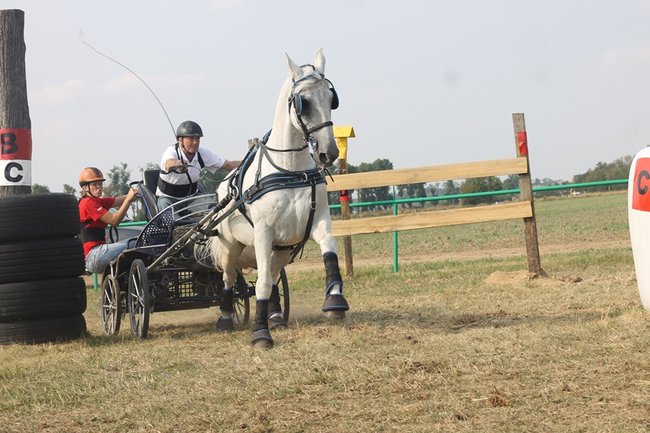 Wielka reaktywacja w Podrzeczu - zdjęcia