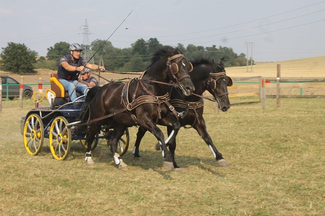 Wielka reaktywacja w Podrzeczu - zdjęcia
